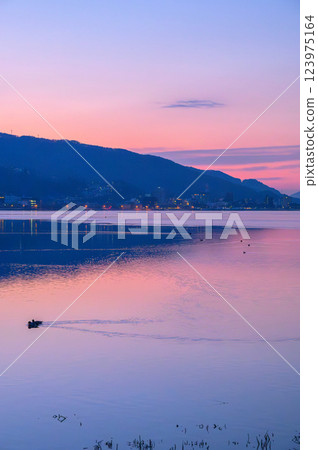 Lake Suwa at dawn [taken from Shimo-Suwa Town] 123975164
