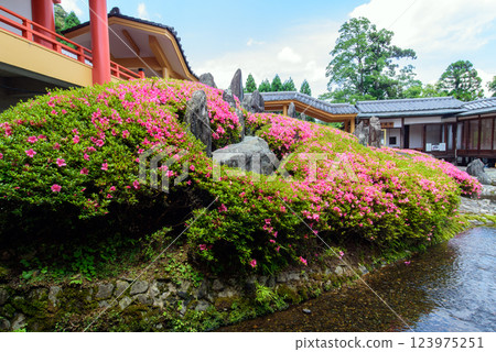 松尾大社、松風園、弧形水花園 松尾大社、松風園、弧形水花園 123975251