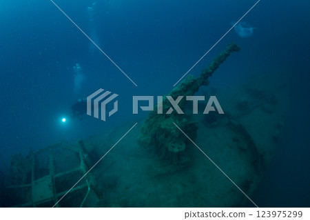 Submarine chaser, Ogasawara, Tokyo 123975299