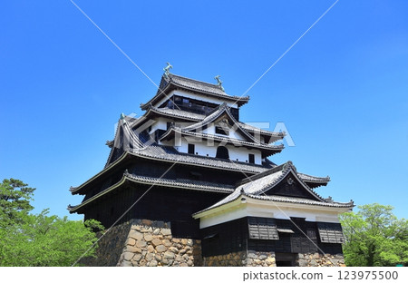 [島根縣] 晴天的松江城（國寶） 123975500