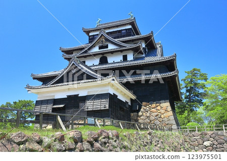 [島根縣] 晴天的松江城（國寶） 123975501