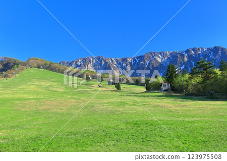 [Tottori Prefecture] The north face of Mt. Daisen as seen from Mt. Daisen Ski Resort 123975508