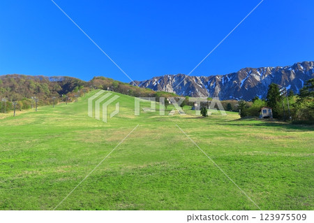 [Tottori Prefecture] The north face of Mt. Daisen as seen from Mt. Daisen Ski Resort 123975509