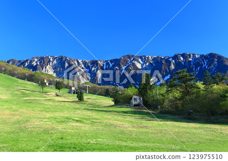 [Tottori Prefecture] The north face of Mt. Daisen as seen from Mt. Daisen Ski Resort 123975510