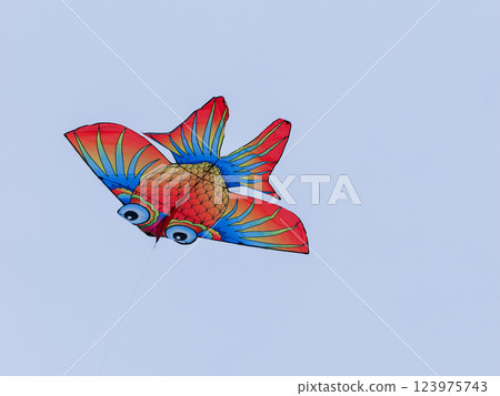 Flying red kite fish Flying red kite fish 123975743