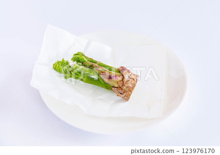 塔拉芽 123976170