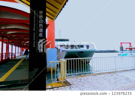 八重山遊輪的首港－西表島 123976235