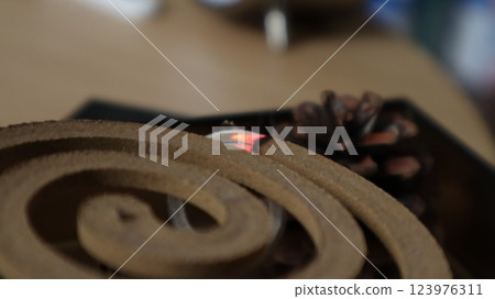 (kiss) Mosquito coils 123976311