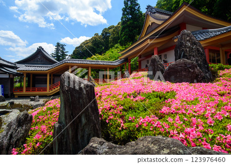 Matsuo Taisha Shrine, Shofuen, Curved Water Garden Matsuo Taisha Shrine, Shofuen, Curved Water Garden 123976460