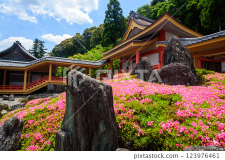 Matsuo Taisha Shrine, Shofuen, Curved Water Garden Matsuo Taisha Shrine, Shofuen, Curved Water Garden 123976461