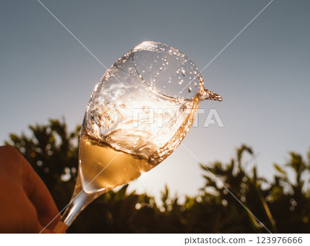 Wine Glass Splash at Sunset 123976666