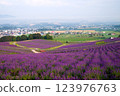 北海道上富良野市日出公園薰衣草園 123976763