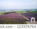 北海道上富良野市日出公園薰衣草園 123976764