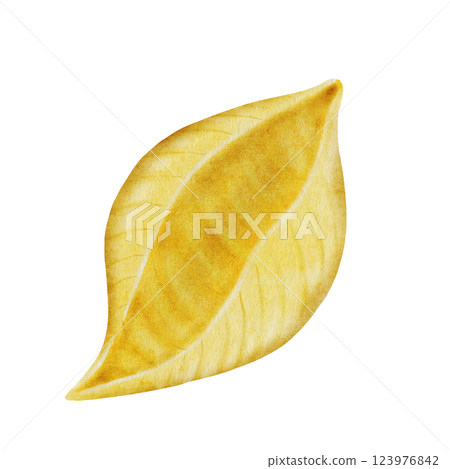 Pasta conchiglioni or conchiglie watercolor. Hand drawn italian macaroni on white background. Food clip art. Ideal for pasta packaging, restaurant menus and posters 123976842