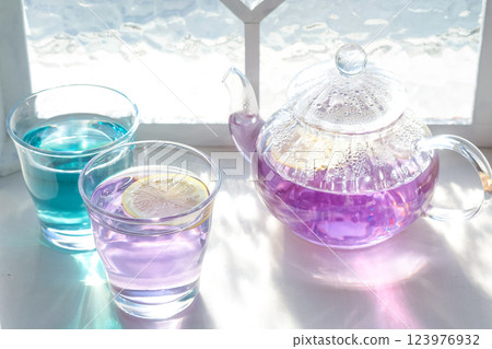 蝶豆花茶富含花青素 123976932
