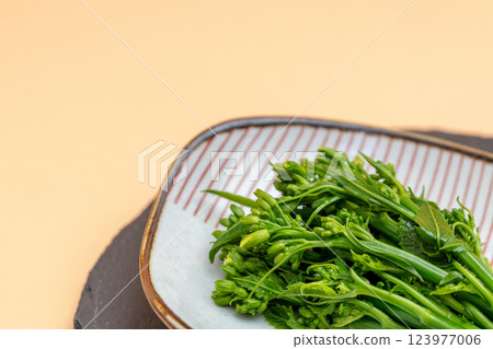 A dish of rape blossoms on a small plate - stock photo of the taste of spring 123977006