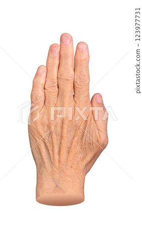 An elderly woman s hand raised in a hi gesture. The wrinkled, aged skin, veins, and fingers 123977731