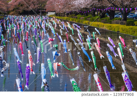 Tatebayashi City Carp Streamer Festival 123977908