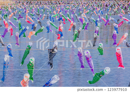 Tatebayashi City Carp Streamer Festival Tatebayashi City Carp Streamer Festival 123977910