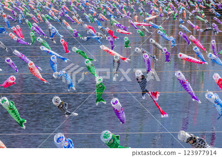 館林市鯉魚旗節 館林市鯉魚旗節 123977914
