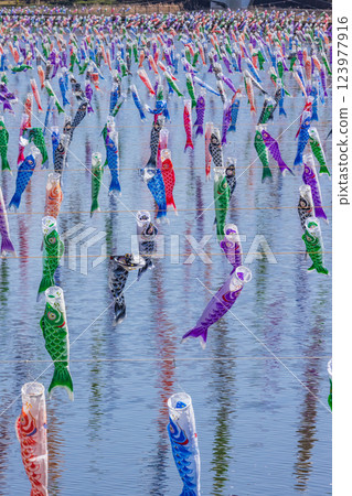 Tatebayashi City Carp Streamer Festival 123977916