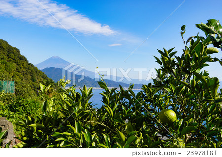 The Satta Pass Promenade Overlooking Mt. Fuji: Nature and History in Harmony 123978181