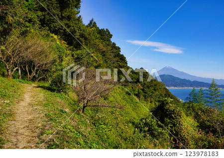 The Satta Pass Promenade Overlooking Mt. Fuji: Nature and History in Harmony 123978183
