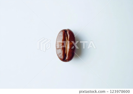 Close-up of Single Roasted Coffee Bean Isolated Close-up of Single Roasted Coffee Bean Isolated 123978600