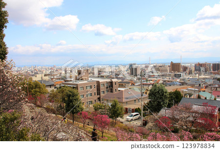 岡本公園的梅林和神戶的城市景觀 123978834