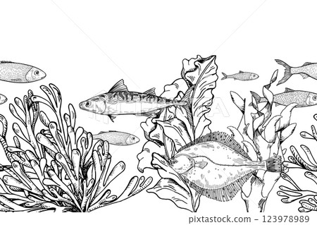 Sea fish flounder, mackerel, seaweed, and coral in black white vector seamless banner. Ocean scene monochrome repeat background hand drawn for label, textile, DIY crafts, nautical wall art. 123978989