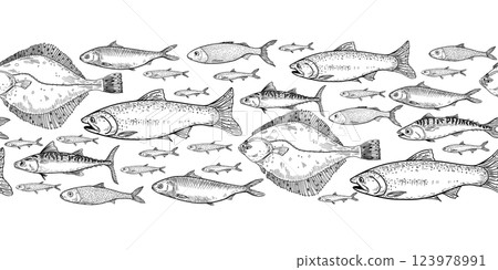 School of fish flounder, salmon black white vector seamless border. Shoal sardine, anchovy, mackerel engraving hand drawn. Flock herring sea fish monochrome repeat banner in graphic line art. 123978991