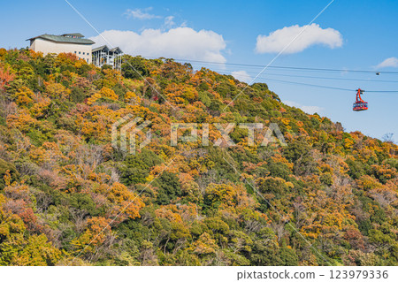 The Kanzanji Ropeway in Hamamatsu City and the autumn leaves of Mount Okusa (Shizuoka Prefecture) 123979336
