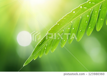 Tropical palm leaves close-up summer background. Ai generated 123980360