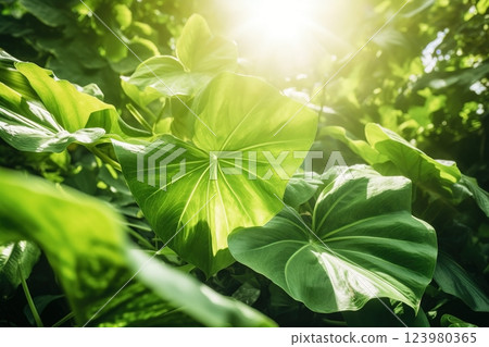 Tropical nature summer background. Ai generated 123980365