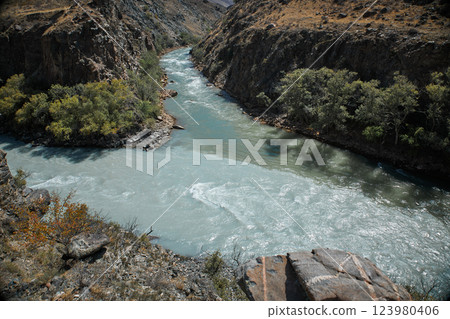 confluence of two rivers of different colors 123980406