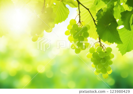 Branch with green leaves in sunlight, bokeh effect. Summer background. Ai generated Branch with green leaves in sunlight, bokeh effect. Summer background. Ai generated 123980429