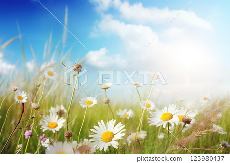 Flower meadow with daisies in sunlight close-up summer background. Ai generated 123980437