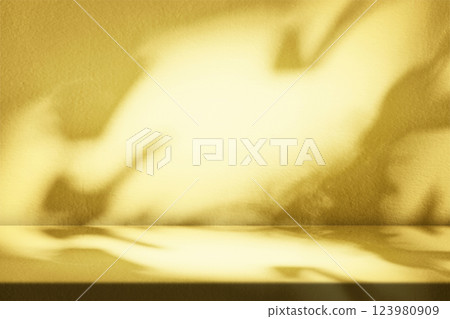 Gold Stucco Table with Nature Shadow on Concrete Wall Texture Background 123980909