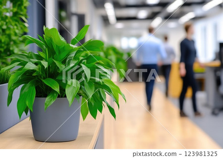 Green business practices with plants in office space Green business practices with plants in office space 123981325