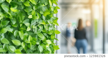 Sustainable Office Design with Green Living Wall Sustainable Office Design with Green Living Wall 123981326
