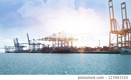 International shipping ports, large ports and cargo handling 123981520