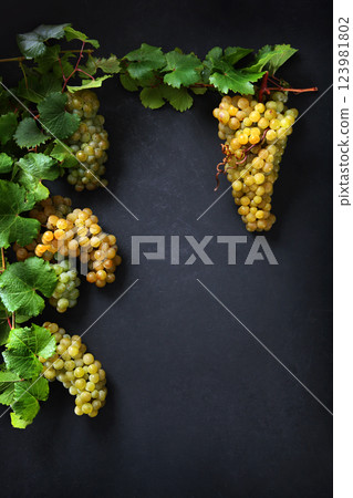 Ripe white grapes with leaves on a black background. Grapes for wine. Copy space. Flat lay. 123981802