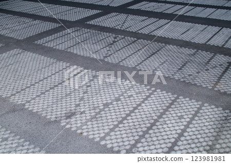 The shadow of the expanded metal on the asphalt The shadow of the expanded metal on the asphalt 123981981