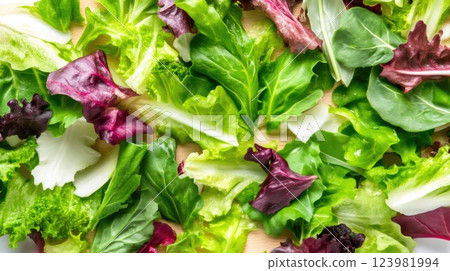 Healthy Fresh Vegetables on Kitchen Counter Healthy Fresh Vegetables on Kitchen Counter 123981994