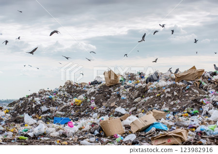 The Environmental Impact of Waste and Litter Accumulated in Urban Areas and Surroundings 123982916