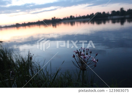 evening landscape sunset over river near shore 123983075