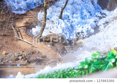 Ice pillar of ragwood Ice pillar of ragwood 123983260