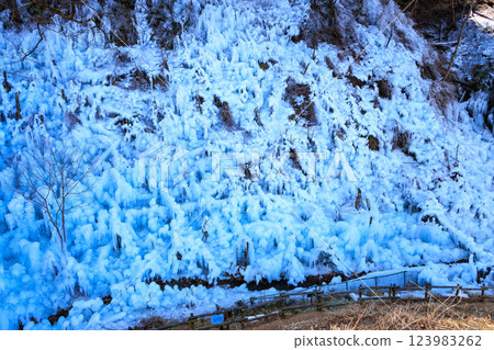 Ice pillar of ragwood Ice pillar of ragwood 123983262