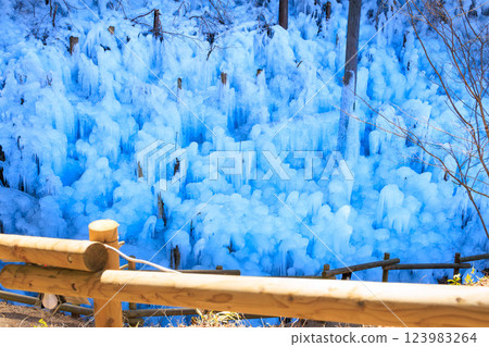 Ice pillar of ragwood Ice pillar of ragwood 123983264