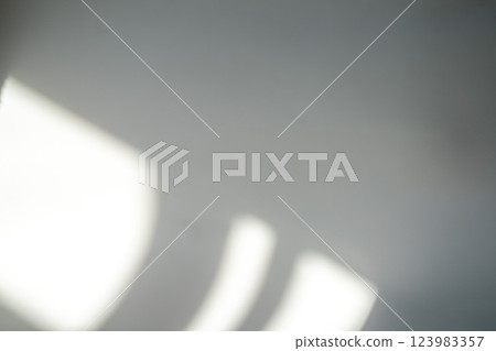 Soft shadows and light interplay create an abstract, minimalist aesthetic, evoking tranquility and simplicity in a serene setting. Soft shadows and light interplay create an abstract, minimalist aesthetic, evoking tranquility and simplicity in a serene setting. 123983357